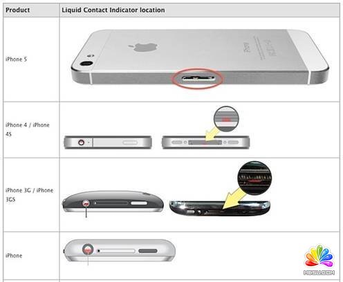 Dropped an iPhone in Water? Heres How to Save It from Water Damage